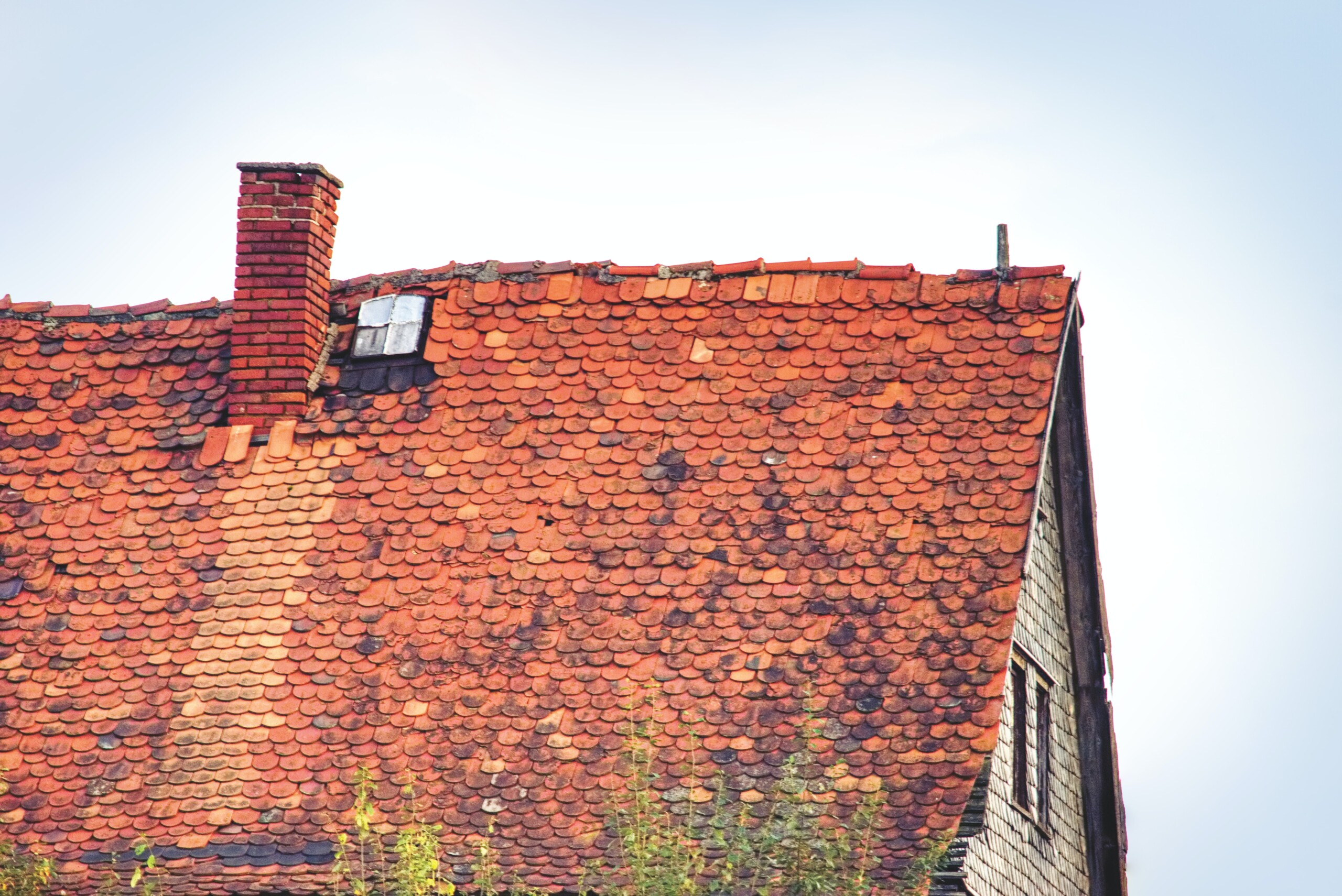What Causes Roof Rot