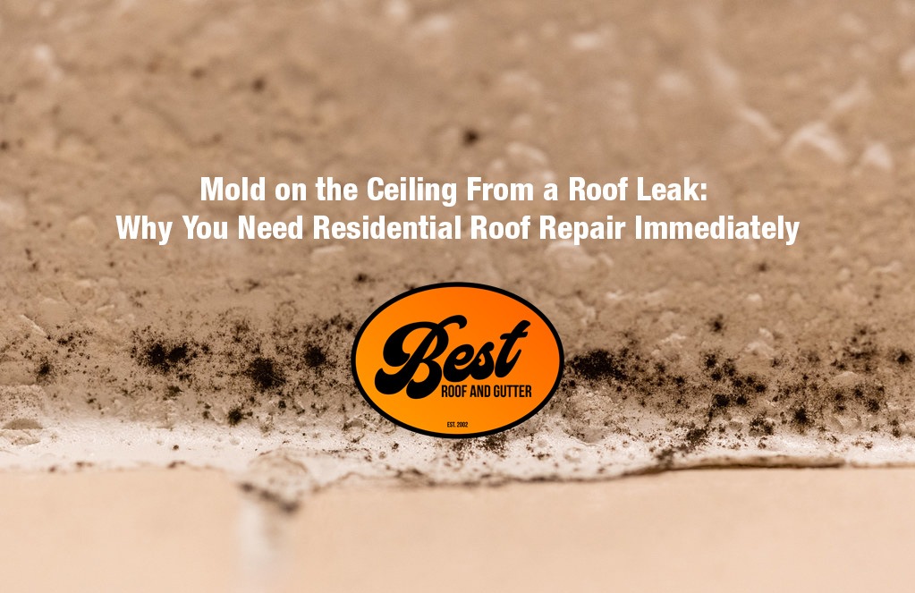Mold on the Ceiling From a Roof Leak: Why You Need Residential Roof Repair Immediately
