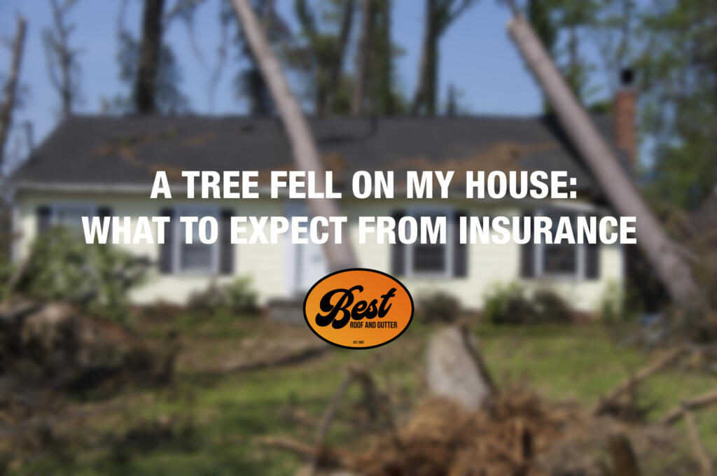 A Tree Fell On My House What To Expect From Insurance
